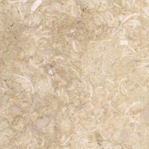 Sunny Menia Marble