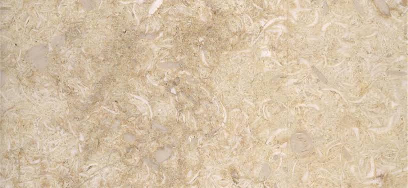 Sunny Menia Marble